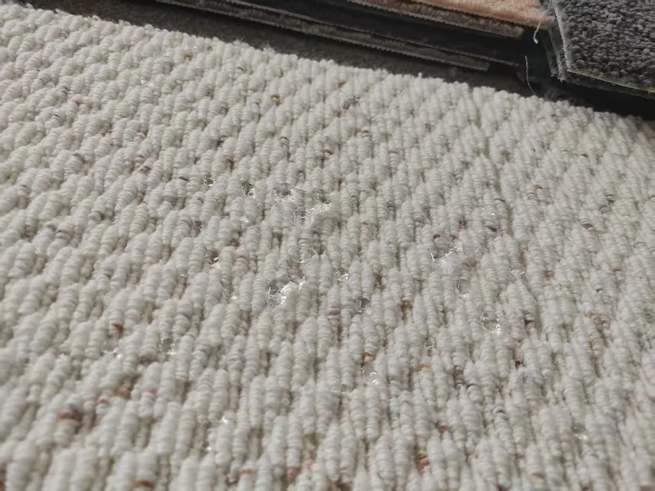 Wool Waterproof Effect Demo Wool Waterproof Effect Demo