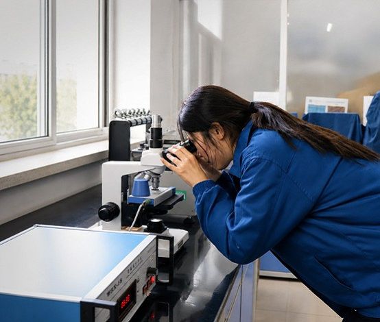 carpet-fiber-microscope-laboratory-inspection carpet-fiber-microscope-laboratory-inspection